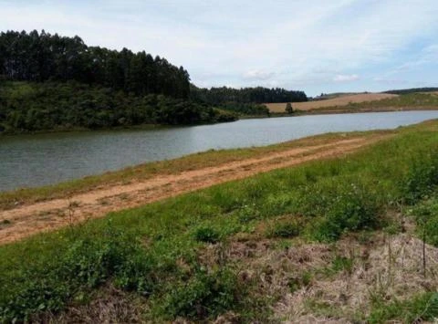 FAZENDA 200 ALQUEIRES / REGIÃO DE SENADOR AMARAL, MG