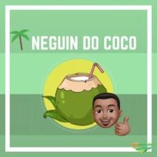 Procuro Produtores/Fornecedores de Cocos