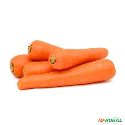 COMPRO CENOURA IN NATURA Imagem COMPRO CENOURA IN NATURA