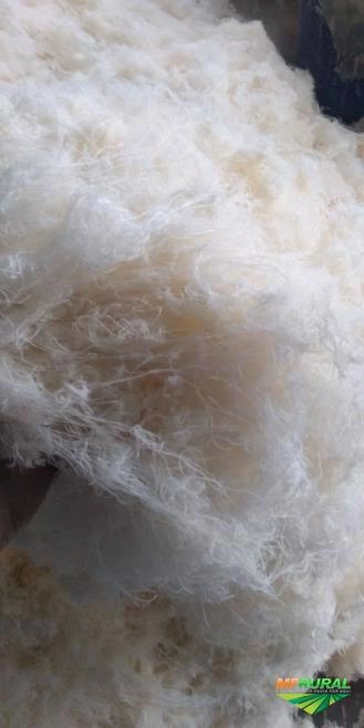 Compro resíduos de estopa de algodao e viscose Imagem Compro resíduos de estopa de algodao e viscose