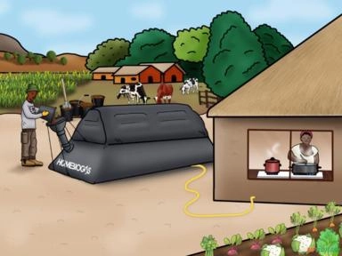 Biodigestor HomeBiogas 7.0 Imagem Biodigestor HomeBiogas 7.0