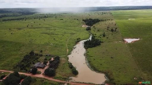 Fazenda de dupla aptidão pecuária