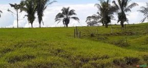 Terras de em Ji-Paraná Rondônia