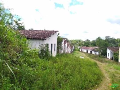 Fazenda de 75 hectares - Cacau - Sul da Bahia