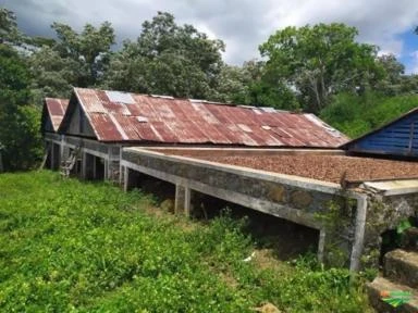 Fazenda de 75 hectares - Cacau - Sul da Bahia