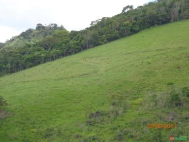 Fazenda de Cacau à Venda na Bahia - 278 hectares