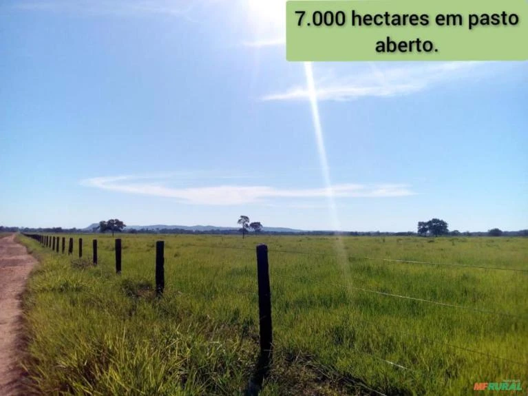 FAZENDA DUPLA APTIDÃO NO MUNICÍPIO DE PONTES E LACERDA-MT