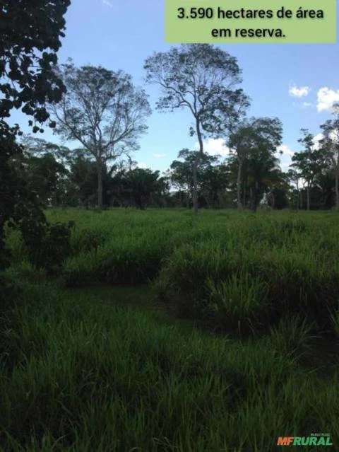 FAZENDA DUPLA APTIDÃO NO MUNICÍPIO DE PONTES E LACERDA-MT