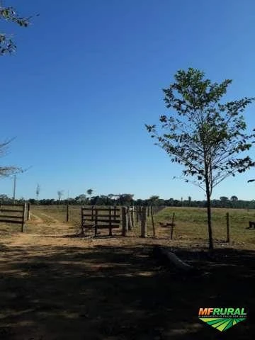Sítio de 52 hectares em São José do Rio Claro