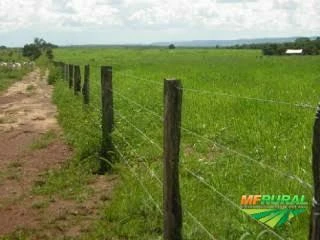 Fazenda 53 hectares em São João da Mata