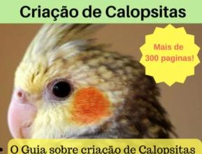 Ebook - Guia definitivo de criação de Calopsitas