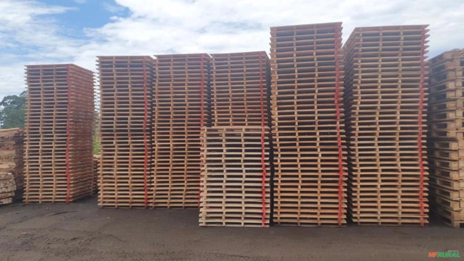 Eucalipto e Pallet Imagem Eucalipto e Pallet