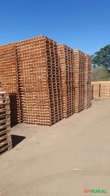 Imagem Eucalipto e Pallet Imagem Eucalipto e Pallet