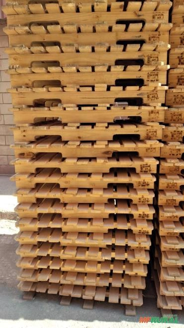 Imagem Eucalipto e Pallet Imagem Eucalipto e Pallet