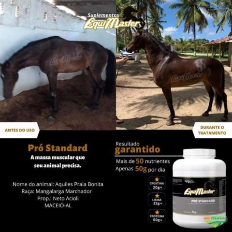 Suplemento Equimaster Imagem Suplemento Equimaster