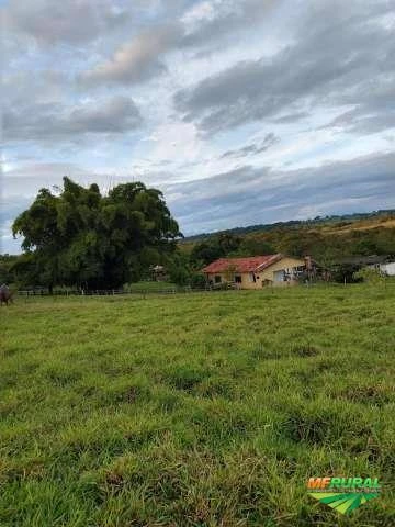 Fazenda em Santa Rita do Araguaia - GO