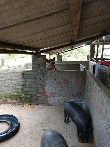 Fazenda em Santa Rita do Araguaia - GO