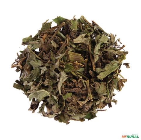 ARTEMISIA DESIDRATADA Imagem ARTEMISIA DESIDRATADA