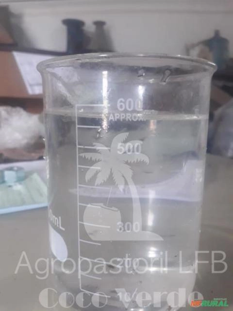 Imagem Coco verde Imagem Coco verde