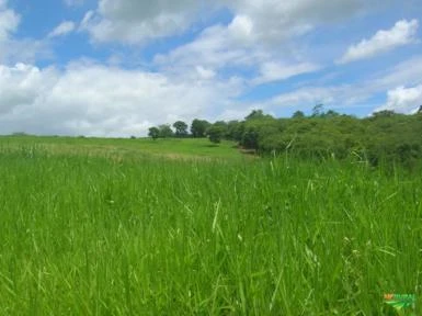 Fazenda de 41,6 hectares (416.409 m2) em Baixo Guandu, Espírito Santo