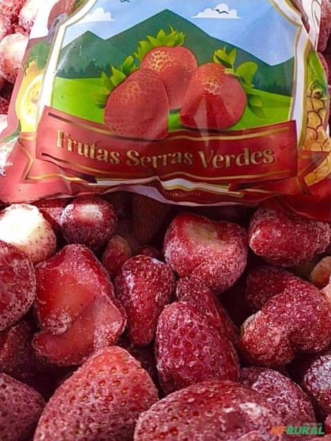 Morango Congelado Serras Verdes Imagem Morango Congelado Serras Verdes