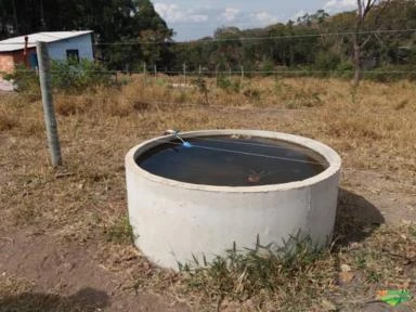 Fazenda em Francisco Dumont