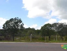 Terreno de 21 hectares em Mosqueiro -Belém - PA