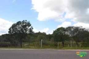 Terreno de 21 hectares em Mosqueiro -Belém - PA