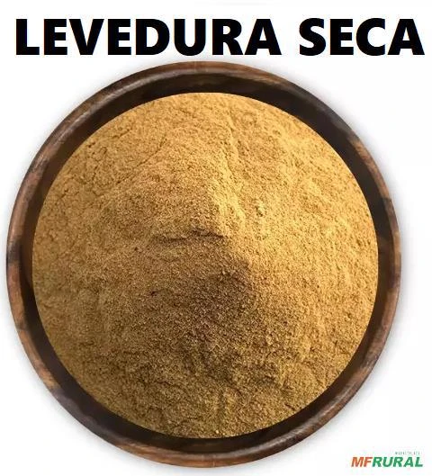 LEVEDURA PURA CANA DE AÇUCAR