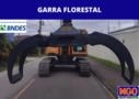 GARRA FLORESTAL Imagem GARRA FLORESTAL