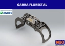 GARRA FLORESTAL Imagem GARRA FLORESTAL