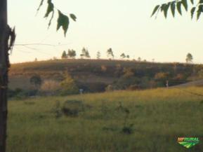 Fazenda 260 hectares com eucaliptos