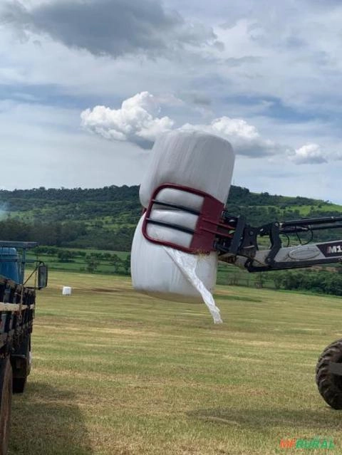 Pegador de Bolas de pré secado Imagem Pegador de Bolas de pré secado