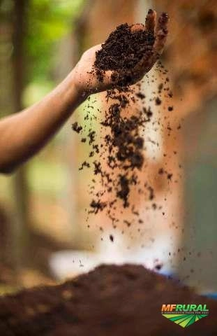 Composto Orgânico de Ótima Qualidade Imagem Composto Orgânico de Ótima Qualidade