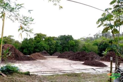 Imagem Composto Orgânico de Ótima Qualidade Imagem Composto Orgânico de Ótima Qualidade