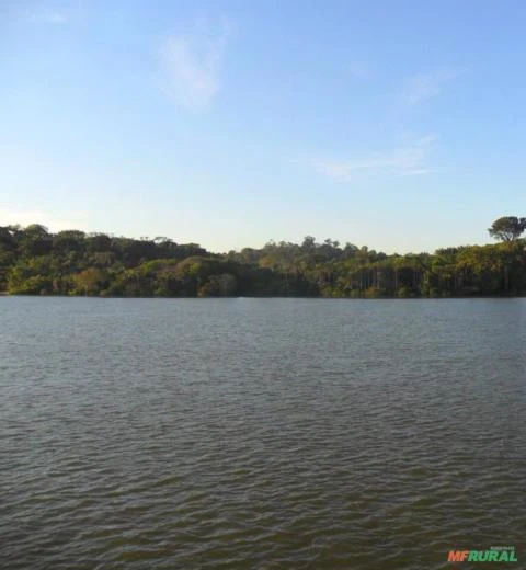 Sítio nas margens do rio tapajos Itaituba Pará, bom investimento para áreas aeroportuária!!!!!