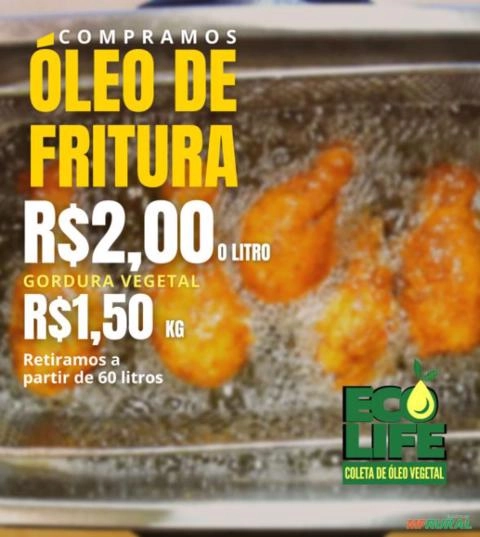 Coleta de Óleo Usado de Fritura. Imagem Coleta de Óleo Usado de Fritura.