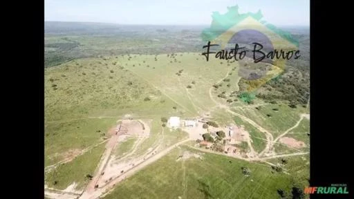 Fazenda à venda em Guiratinga - Mato Grosso - 7.000 hectares