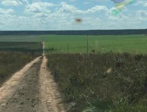 Fazenda à venda em Tangará da Serra - Mato Grosso - 4.000 hectares