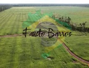 Fazenda à venda em Tomé Açu / Tailândia - Pará, com 2.210 hectares
