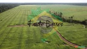 Fazenda à venda em Tomé Açu / Tailândia - Pará, com 2.210 hectares