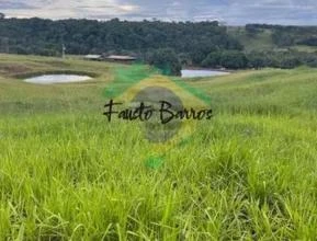 Fazenda à venda em Araguari - Minas Gerais - 200 hectares