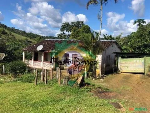 Fazenda à venda em Ubaitaba, Bahia - 217 hectares