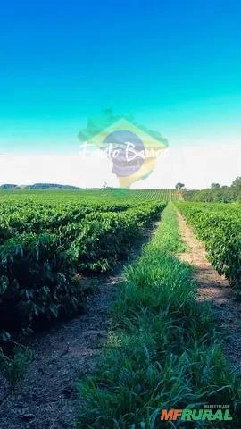 Fazenda à venda em Boa Esperança - Minas Gerais, com 80 hectares
