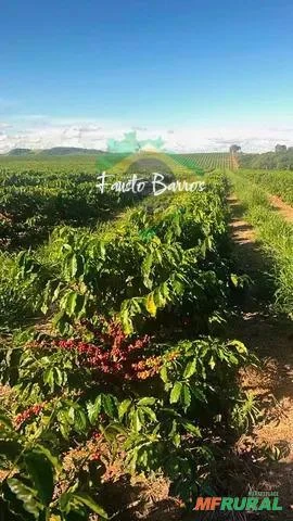 Fazenda à venda em Boa Esperança - Minas Gerais, com 80 hectares