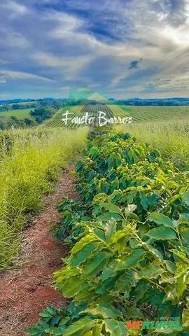 Fazenda à venda em Boa Esperança - Minas Gerais, com 80 hectares