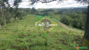 Fazenda à venda em Doutor Pedrinho - Santa Catarina, com 1.160 hectares