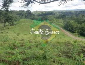 Fazenda à venda em Doutor Pedrinho - Santa Catarina, com 1.160 hectares