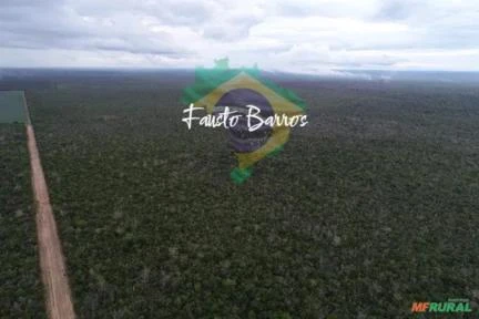Fazenda à venda em Brasnorte - Mato Grosso, com 563 hectares