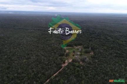 Fazenda à venda em Brasnorte - Mato Grosso, com 563 hectares
